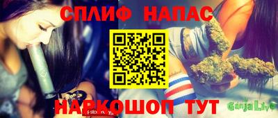 прущие грибы Малоярославец