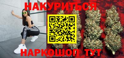 прущие крисы Малгобек