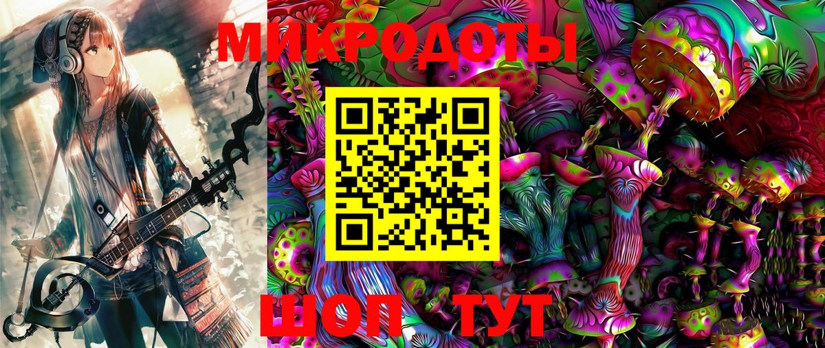 Псилоцибиновые грибы Psilocybe Еманжелинск