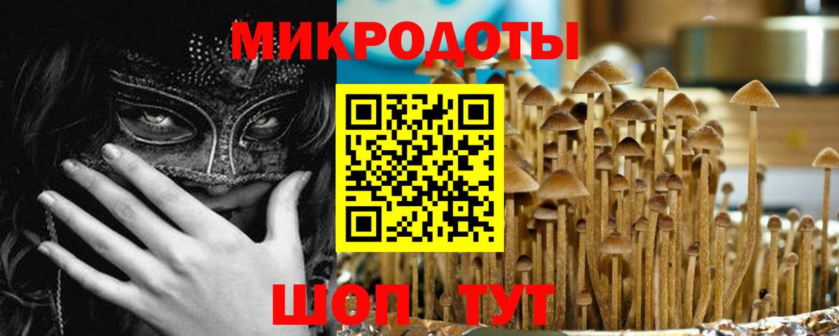 купить наркотик  Галлюциногенные грибы Magic Shrooms  Вход с VPN  Псилоцибиновые грибы Psilocybine cubensis  Еманжелинск 